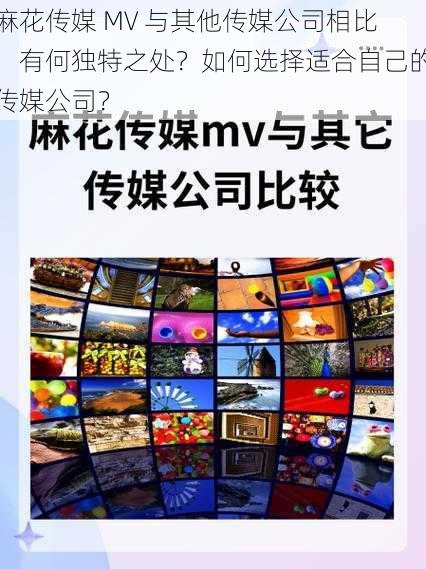 麻花传媒 MV 与其他传媒公司相比,有何独特之处?如何选择适合自己的传媒公司?