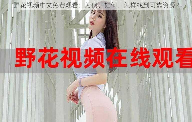 野花视频中文免费观看:为何、如何、怎样找到可靠资源?