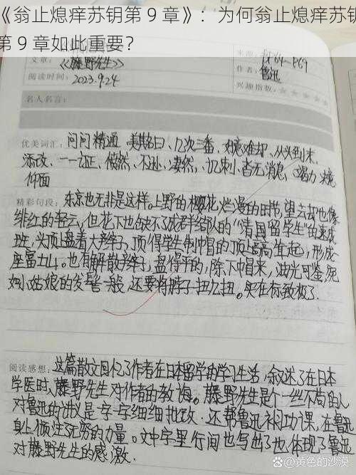 《翁止熄痒苏钥第 9 章》:为何翁止熄痒苏钥第 9 章如此重要?