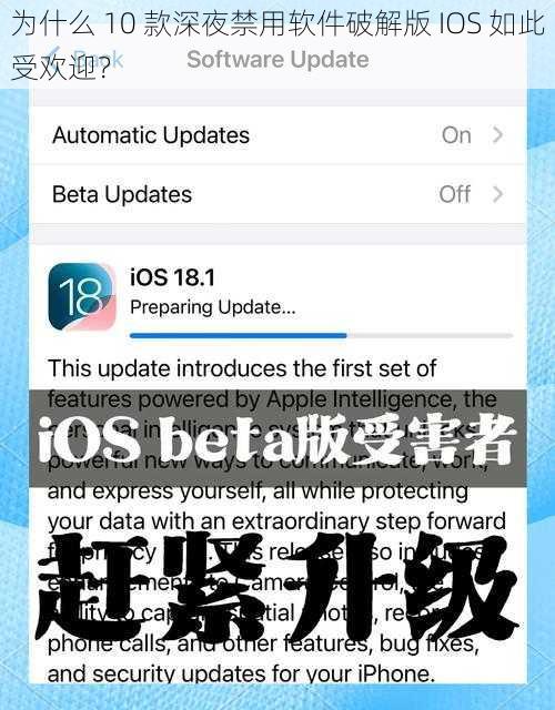 为什么 10 款深夜禁用软件破解版 IOS 如此受欢迎?