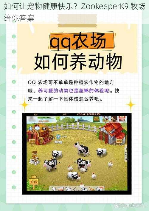 如何让宠物健康快乐?ZookeeperK9 牧场给你答案