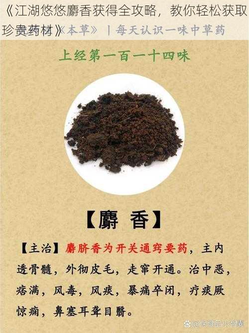 《江湖悠悠麝香获得全攻略,教你轻松获取珍贵药材》