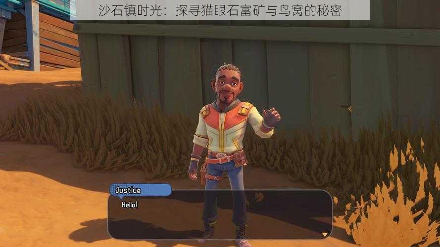 沙石镇时光:探寻猫眼石富矿与鸟窝的秘密